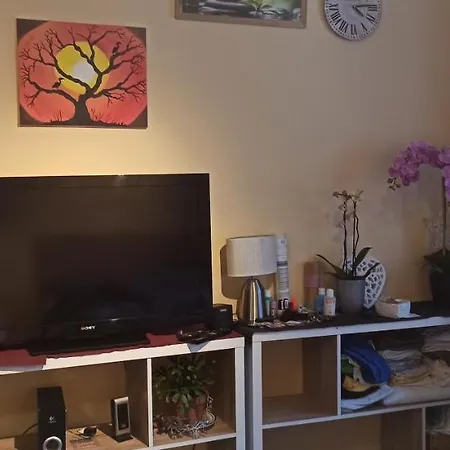 Apartment Studio Seaesta