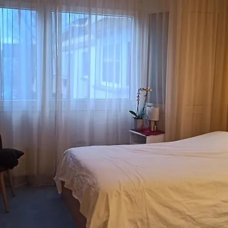 Studio Seaesta Konstanz